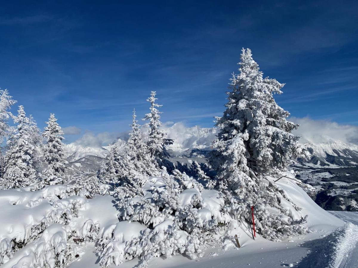 Chalet Reiteralm- Ski Inski Out Schladming Eksteriør bilde